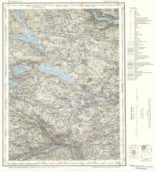 E32 aust Gol: Buskerud | Oppland