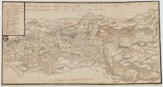 Kartblad 31-1: Chart over det Numedahlsche Compagnie District: Buskerud