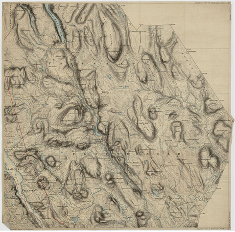 Portefølje nr 49: Hedmark